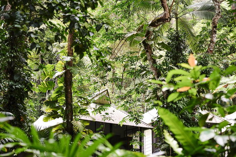Daintree Ecolodge - Accommodation Cairns 0