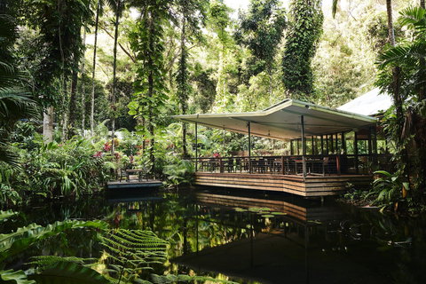 Daintree Ecolodge - Accommodation Cairns 1