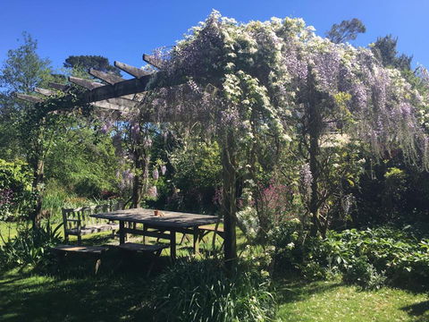 Hawthorne Cottage: Blackheath - Accommodation Cairns 2