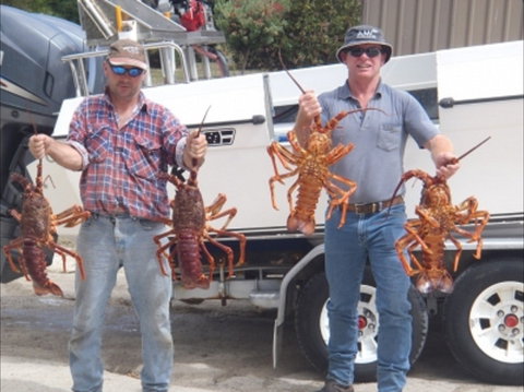 Island View Retreat - Accommodation Cairns 2