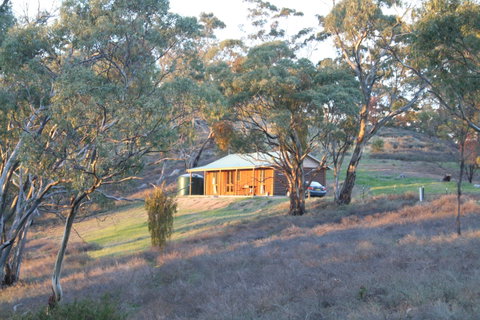 Molly's Chase - Accommodation Cairns 1