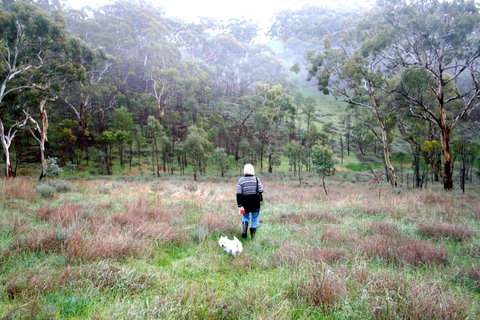 Molly's Chase - Accommodation Cairns 2