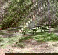 Mulloon Creek campground - Accommodation Cairns