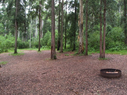 Murphys Glen Campground - Accommodation Cairns 0