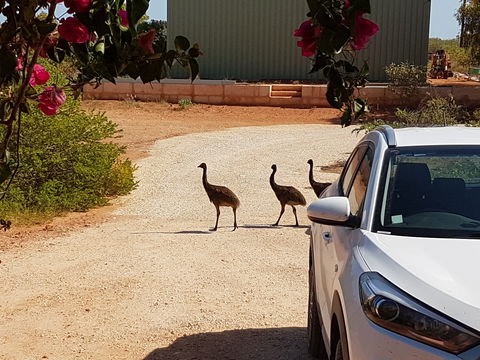 Ningaloo Bed And Breakfast - Accommodation Cairns 1