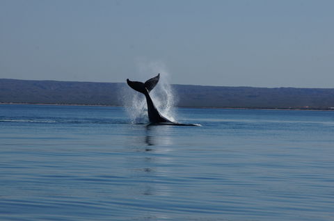 Ningaloo Bed And Breakfast - Accommodation Cairns 2