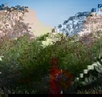 Sandstone Park Carnarvon Gorge - Accommodation Cairns