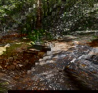 Wombat Creek campground - Accommodation Cairns