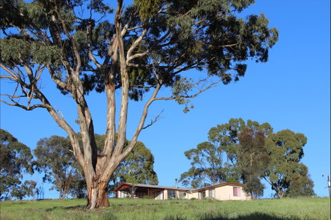 Clare View Accommodation - Clare View Cottage - Accommodation Cairns 2