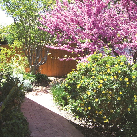 Country Gardens Motor Inn - Accommodation Cairns 1