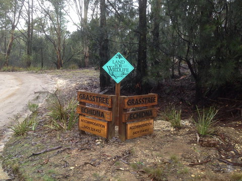 Echidna On Bruny - Accommodation Cairns 1