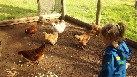 Emerald Park Holiday Farm - Accommodation Cairns 2