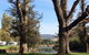 Riverglade Caravan Park - thumb 2