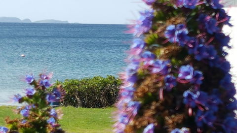 Rock Lobster - Accommodation Cairns 2