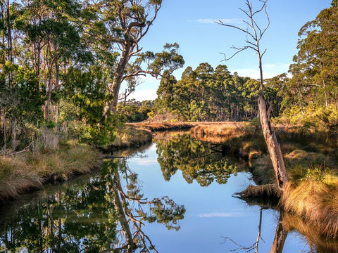 Saintys Creek Cottage - Accommodation Cairns 1