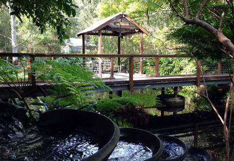 The Oasis And Wellness Centre  At One Mile Beach - Accommodation Cairns 0