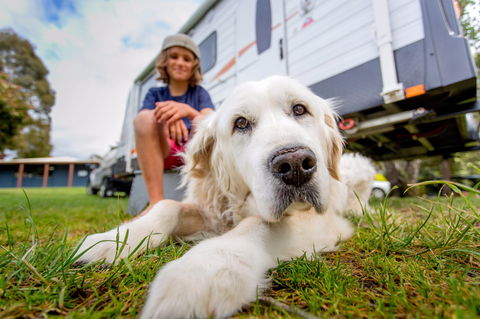 BIG4 St Helens Holiday Park - Accommodation Cairns 2