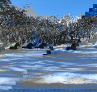 Mt Stirling Alpine Winter Camp
