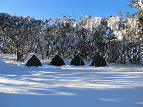 Mt Stirling Alpine Winter Camp - Accommodation Cairns 1