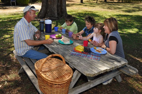 Naracoorte Caves Camping And Accomodation - Accommodation Cairns 0
