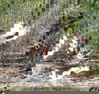 Rakhi Retreat - Accommodation Cairns