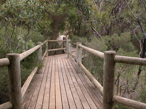 Raven Cottage KI - Accommodation Cairns 2