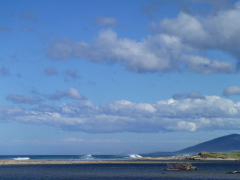 Scamander On The Beach - Accommodation Cairns 1