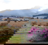 The Barn  House Farm Stay at Possum Manor