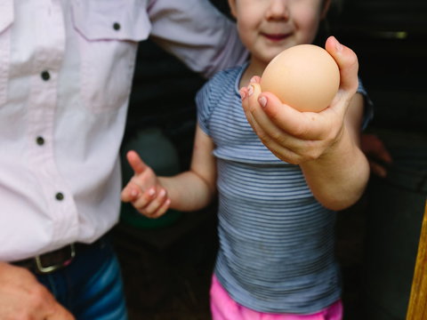 Tommerups Dairy Farmstay - Accommodation Cairns 1
