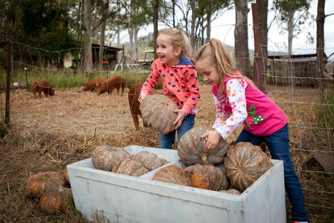 Tommerups Dairy Farmstay - Accommodation Cairns 2