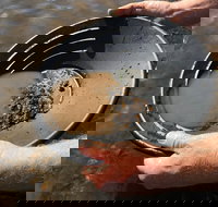 Tuena Camping and Picnic Ground - Accommodation Cairns