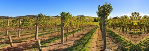 De Vine Escape - Accommodation Cairns 4