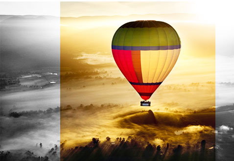 De Vine Escape - Accommodation Cairns 6