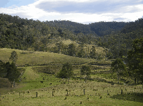 Yasuragi Cabins - Accommodation Cairns