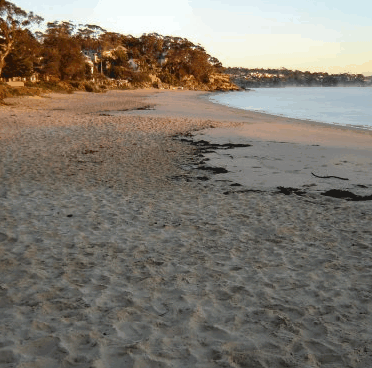 Beachhaven Bed & Breakfast - Accommodation Cairns 5