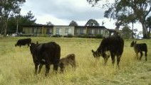 Bumblebrook Farm Motel - Accommodation Cairns 1