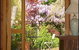 Valley Guest House - thumb 5