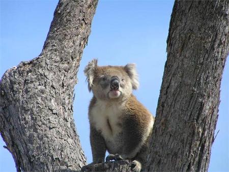 Resthaven Caravan Park - Accommodation Cairns 0