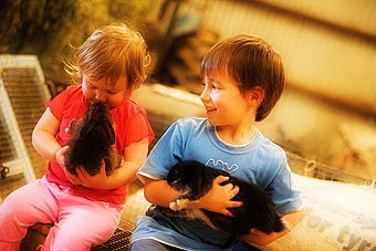 Mackas Farm - Accommodation Cairns 1