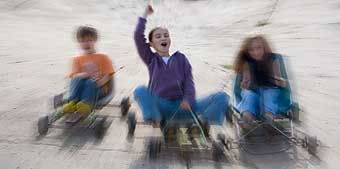 Mackas Farm - Accommodation Cairns 2