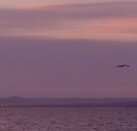 Pelican Sands Bed and Breakfast