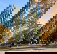 Omeo Caravan Park - Accommodation Cairns