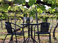 De Vine Escape - Accommodation Cairns 2