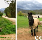 Emerald Park Holiday Farm - Accommodation Cairns