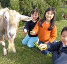 Johanna River Farm and Cottages - Accommodation Cairns