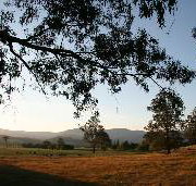 Cann River Rainforest Caravan Park - Accommodation Cairns