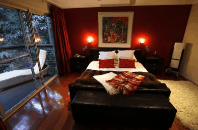 Songbirds Rainforest Retreat - Accommodation Cairns 4