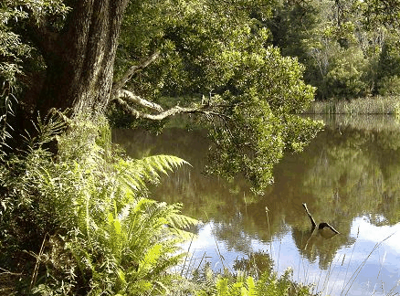  Accommodation Cairns