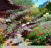 Chestnut Brook Cottage - Accommodation Cairns