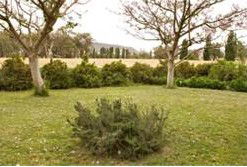 Claremont Cottage - Accommodation Cairns 2